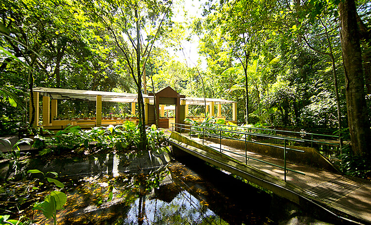 Jardim Botânico Recife