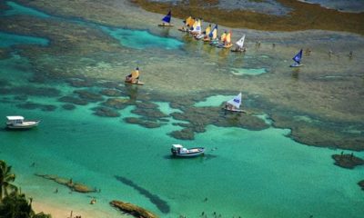 Melhores Praias De Pernambuco