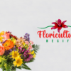 Floricultura Em Recife Boa Viagem